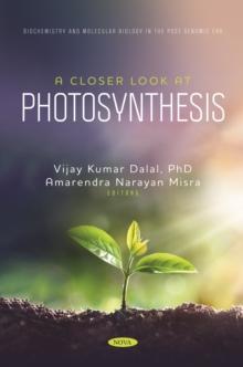 A Closer Look at Photosynthesis