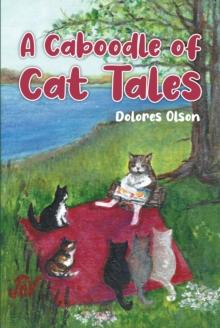 A Caboodle of Cat Tales