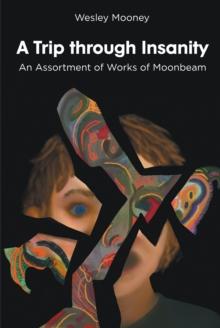 A Trip through Insanity : An Assortment of Works of Moonbeam