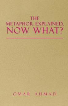 The Metaphor Explained, Now What?