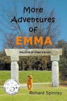 More Adventures of EMMA