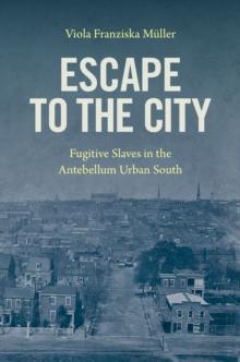 Escape to the City : Fugitive Slaves in the Antebellum Urban South