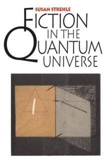 Fiction in the Quantum Universe