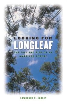 Looking for Longleaf : The Fall and Rise of an American Forest