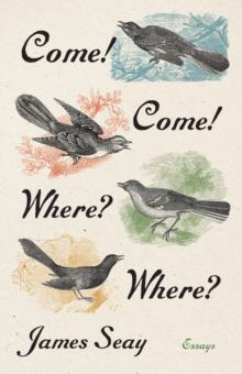 Come! Come! Where? Where? : Essays