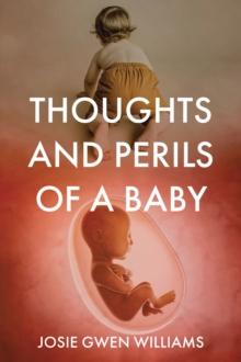 Thoughts and Perils of a Baby