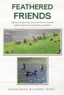 Feathered Friends : Experience the day-to-day events of this diverse community of feathered friends and one friend not so feathered