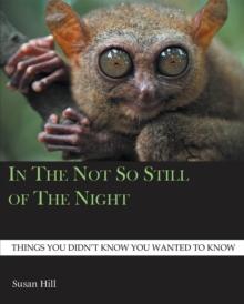 In the Not So Still of the Night : Things You Didn't Know You Wanted to Know