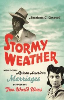 Stormy Weather : Middle-Class African American Marriages between the Two World Wars