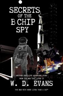 Secrets Of The B Chip Spy