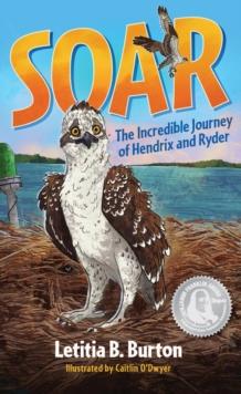 Soar : The Incredible Journey of Hendrix and Ryder