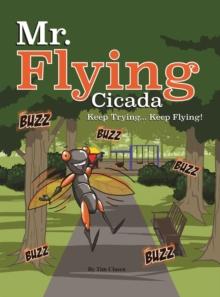 Mr. Flying Cicada