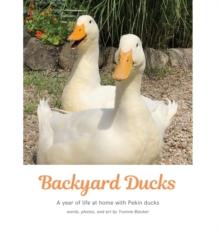 Backyard Ducks : A year of life at home with Pekin ducks