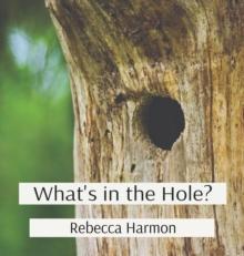 What's in the Hole?