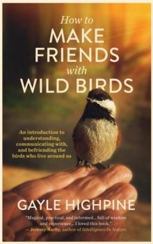 How To Make Friends With Wild Birds