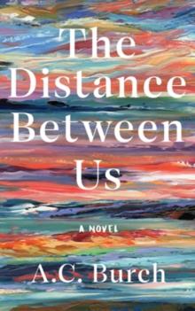 The Distance Between Us : A Novel