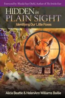 Hidden in Plain Sight : Identifying Our Little Foxes