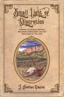 Small Light Of Discretion : A Novel of Factual History Regarding Treachery and the Expulsion of the Utes