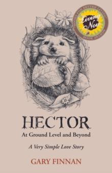 Hector At Ground Level and Beyond : A Very Simple Love Story