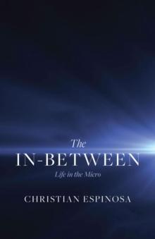 The In-Between : Life in the Micro