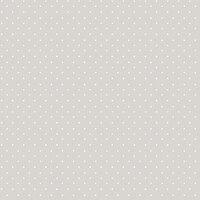 Little Explorers 2 Wallpaper Dot Silver Grey Galerie 14863