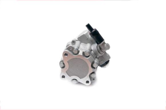 ESEN SKV 10SKV224 Power Steering Pump 110 60 Clockwise rotation AUDI: A4 B6 Saloon, A4 B7 Avant, A4 B6 Avant