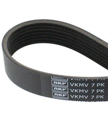 SKF VKMV 7PK1135 V-ribbed Belt 1135 7 RENAULT: CLIO 3