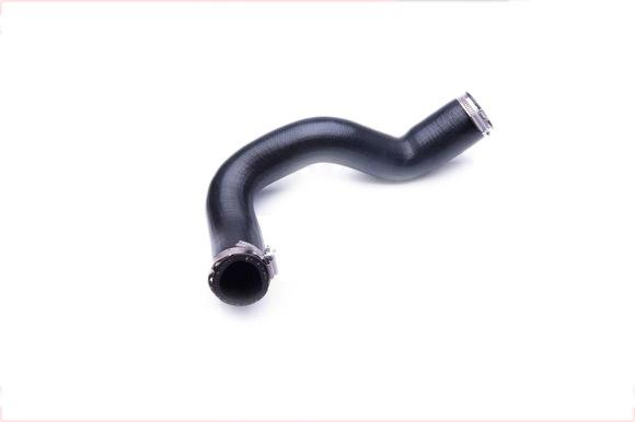 ESEN SKV 24SKV881 Turbocharger Hose RENAULT: LAGUNA 3