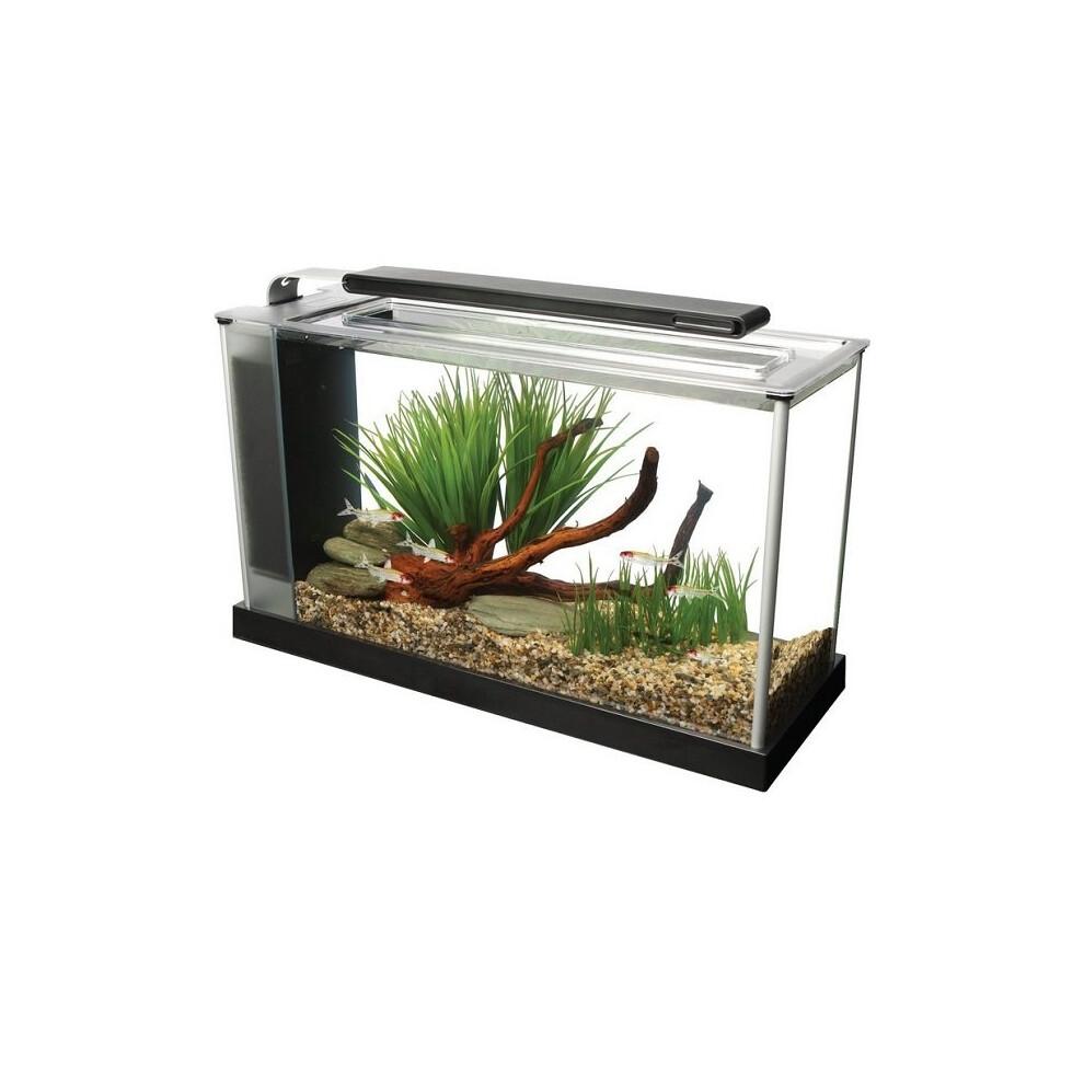 Fluval Spec - Black