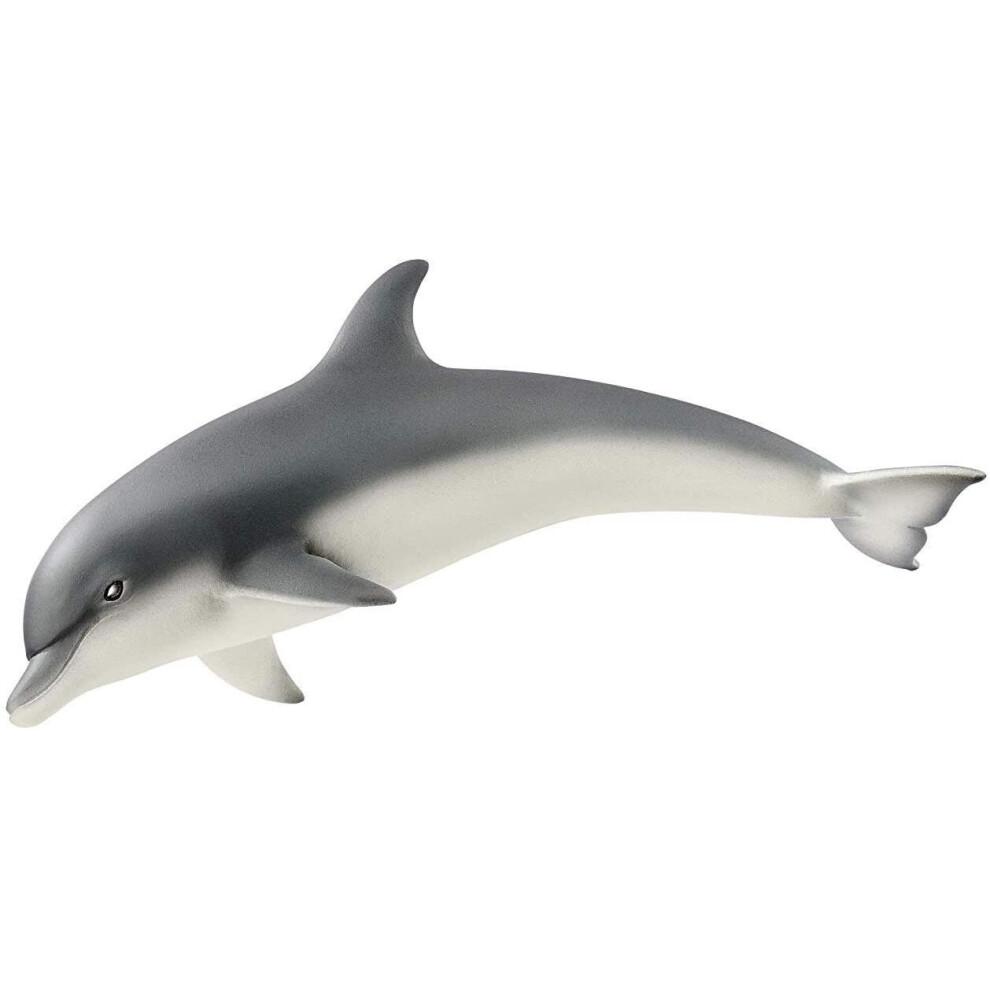 Dolphin