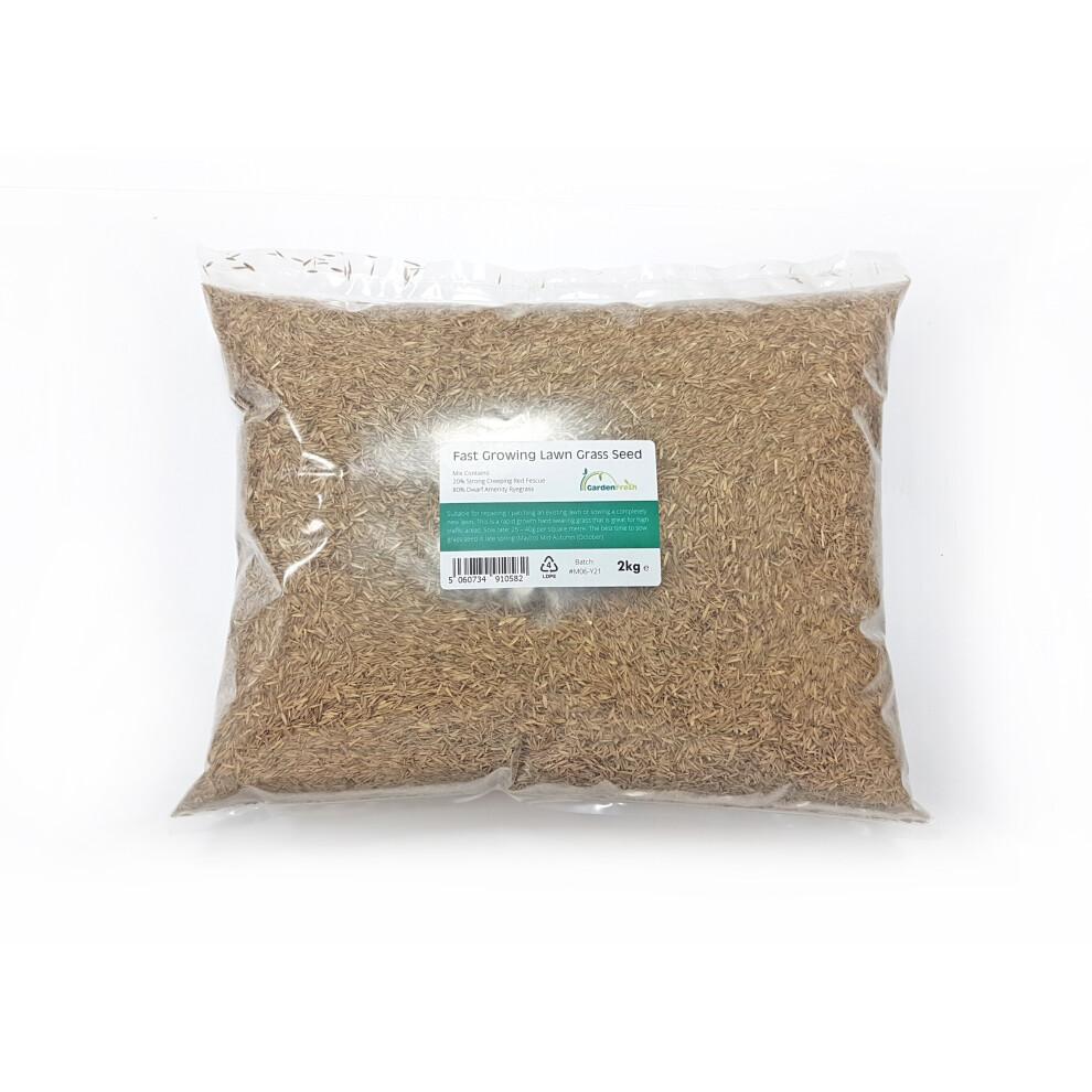 Grass Seed 2Kg