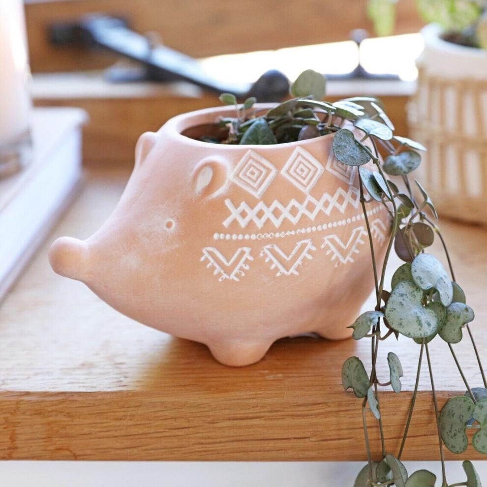 Terracotta Hedgehog Planter