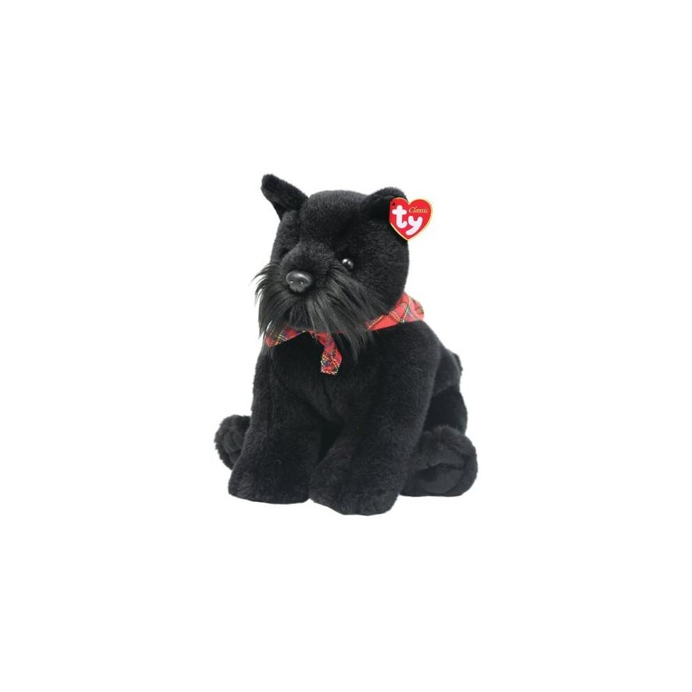 Dougal - Black Scottie