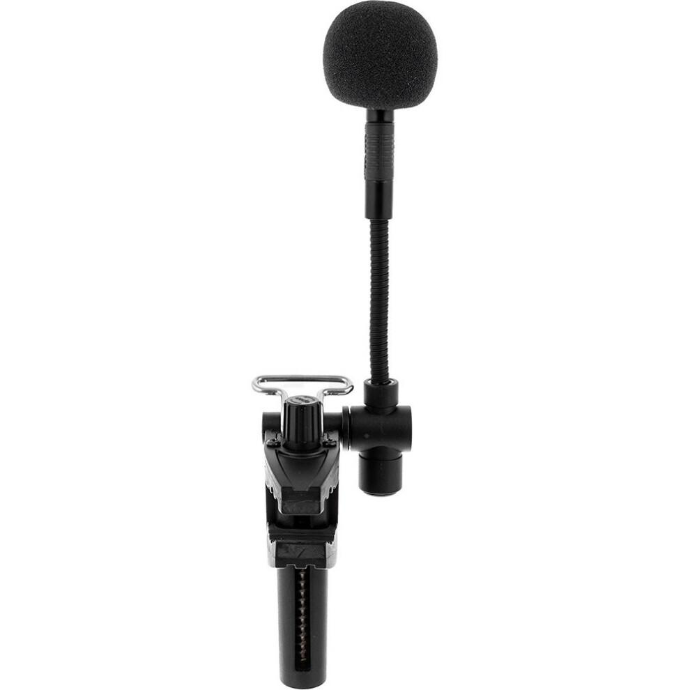 Instrument Microphone