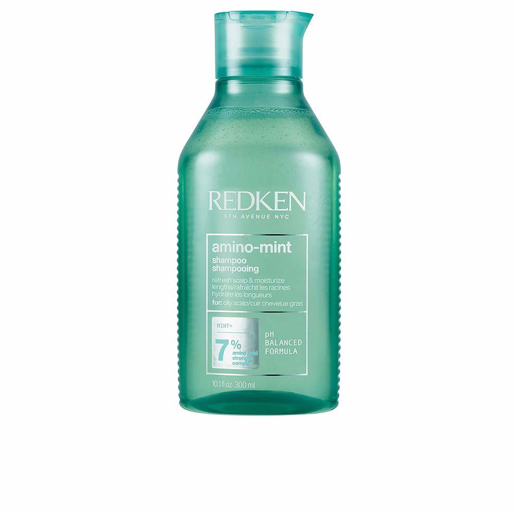 Purifying Shampoo Redken Amino-Mint Greasy Hair (300 ml)