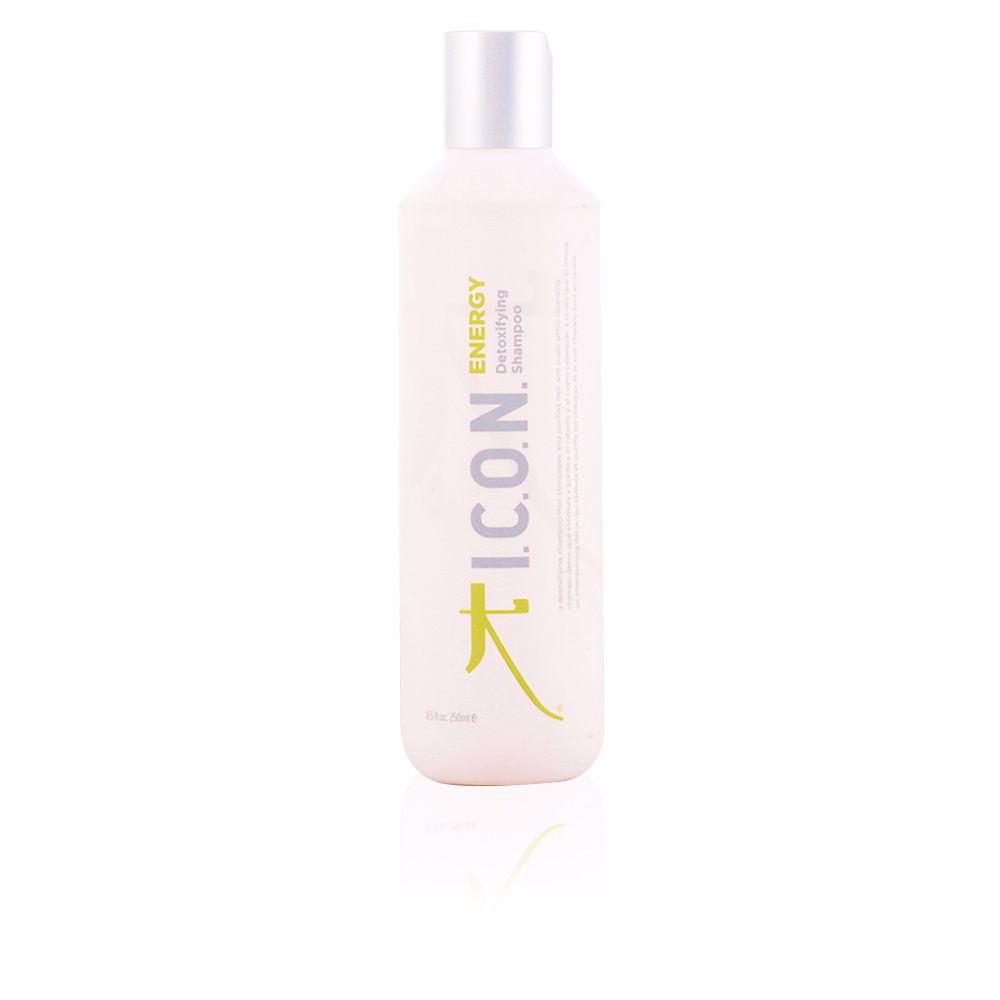 Energy detoxifiying shampoo 250 ml