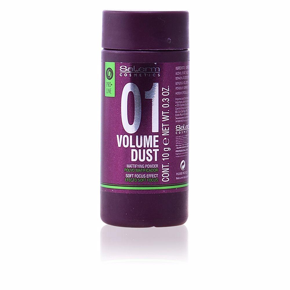 Volumising Treatment Volume Dust Salerm (10 g)