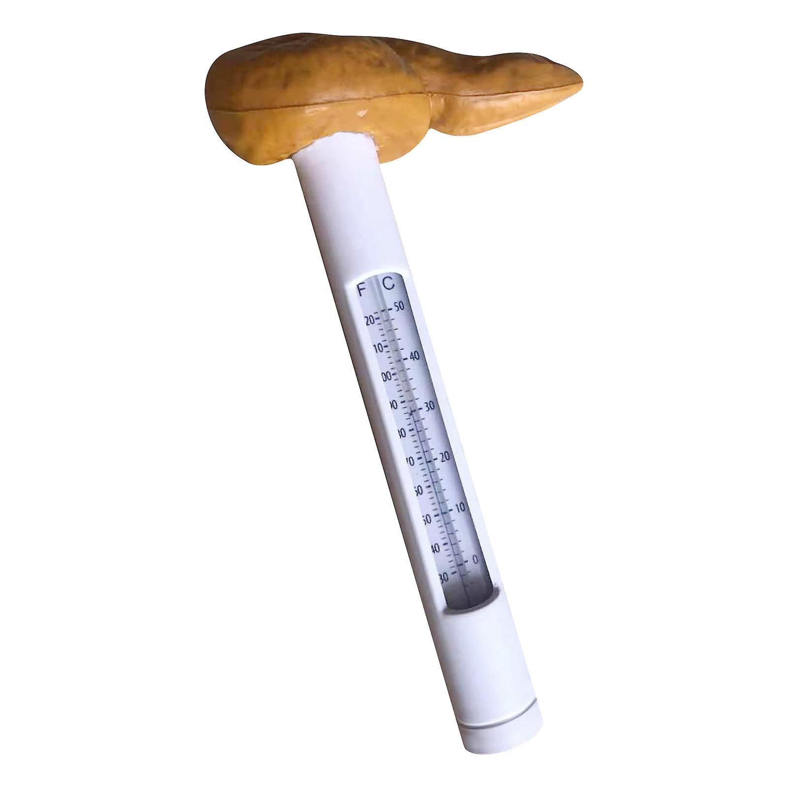 Hefansi Mischievous Poop  Swimming Pool Thermometers Float In Summer 10ml