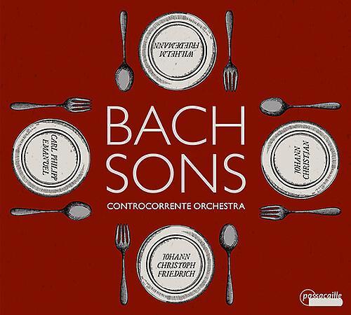 Passacaille Various Artists - Bach Sons   [COMPACT DISCS] USA import