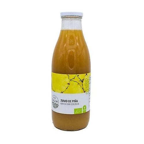 Eco-Salim Pineapple Juice Eco 1 L (Pineapple)