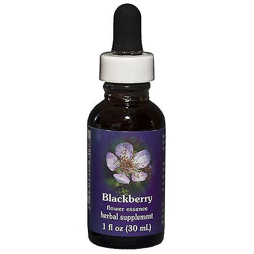 Flower Essence Services Blackberry Dropper, 1 oz (Pack of 1)