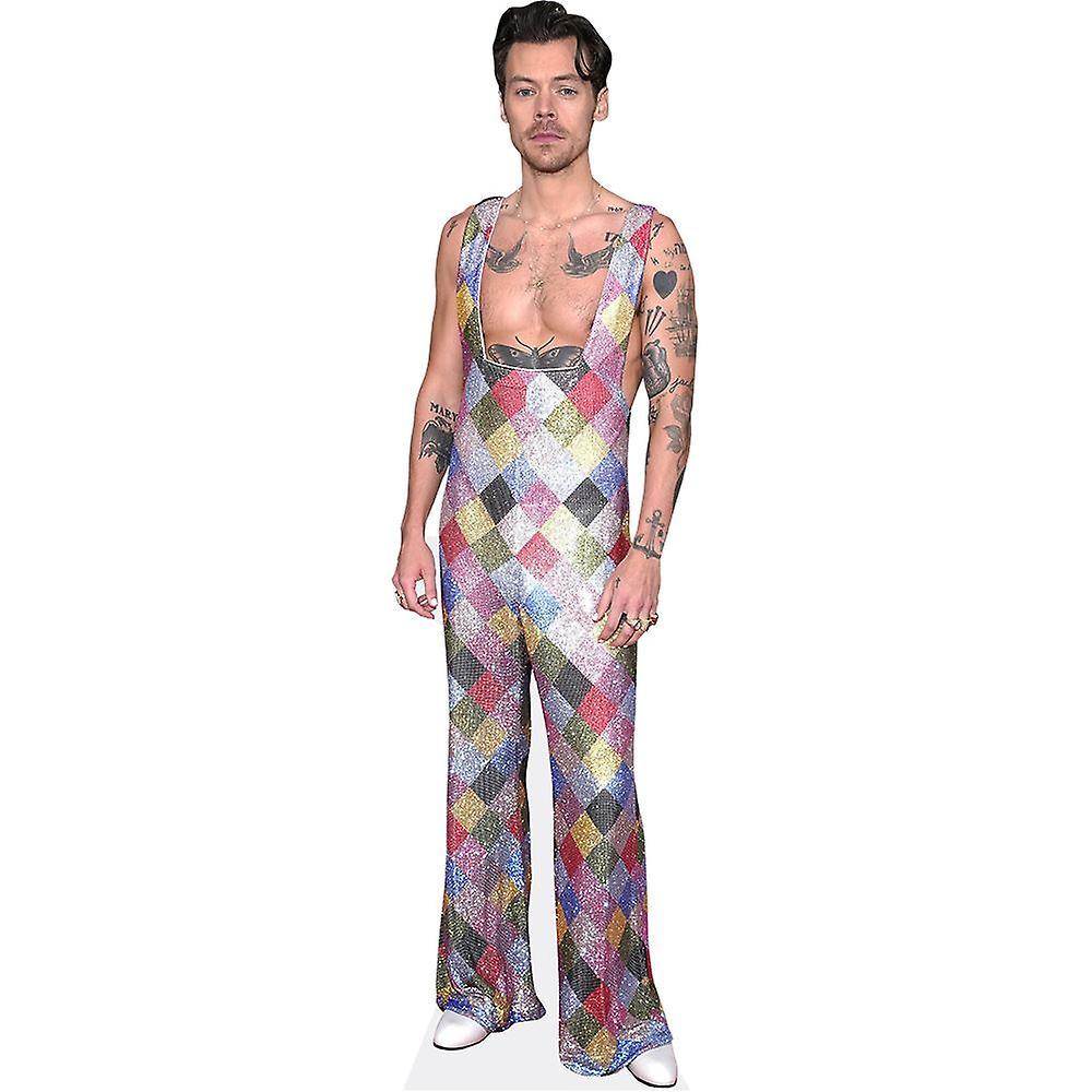 Celebrity Cutouts Harry Styles (Colourful) Cardboard Cutout (lifesize OR mini size). Standee. Stand Up. Life Size Cutout