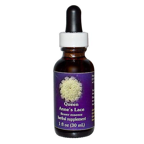 Flower Essence Services Queen Annes Lace Dropper, 1 oz (Pack of 1)