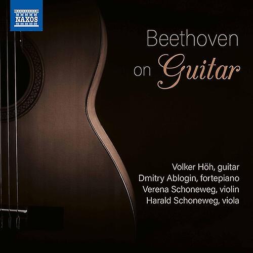 Naxos Beethoven / Hohn / Schoneweg - Beethoven on Guitar  [COMPACT DISCS] USA import