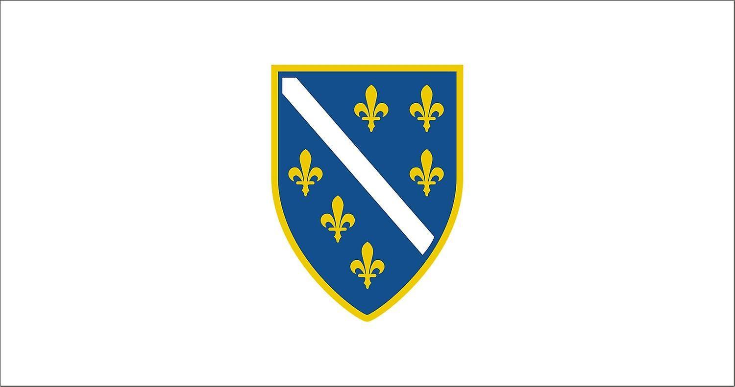 Hiprock Flag of Bosnia (1992-1998)