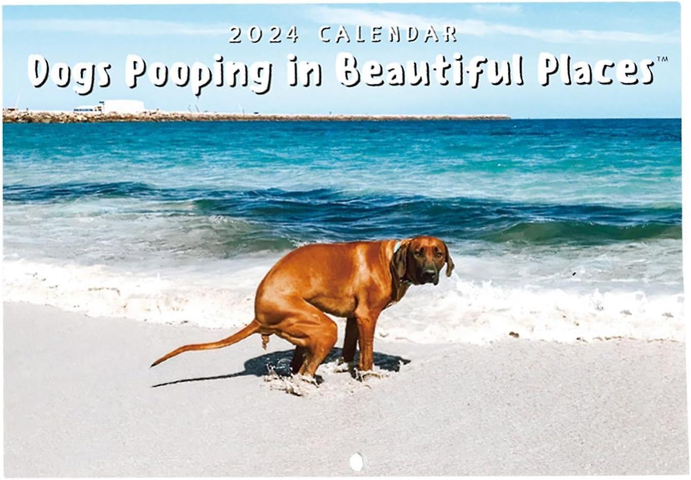 Wjiaer 2024 Calendar Of Dogs Pooping Beautiful Places | Wall Art Monthly Family Calendar | Calendar For Dog Gifts Gag Hanging-b