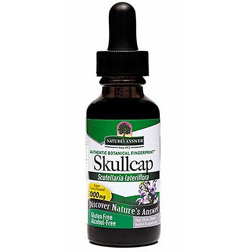 Nature's Answer Skullcap Herb, Alcohol Free Extract 1 FL Oz (Pack of 1)