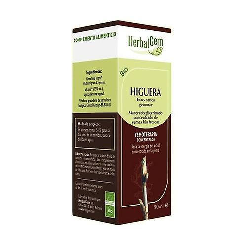 Herbalgem Glycerinated Macerated Fig Tree 50 ml