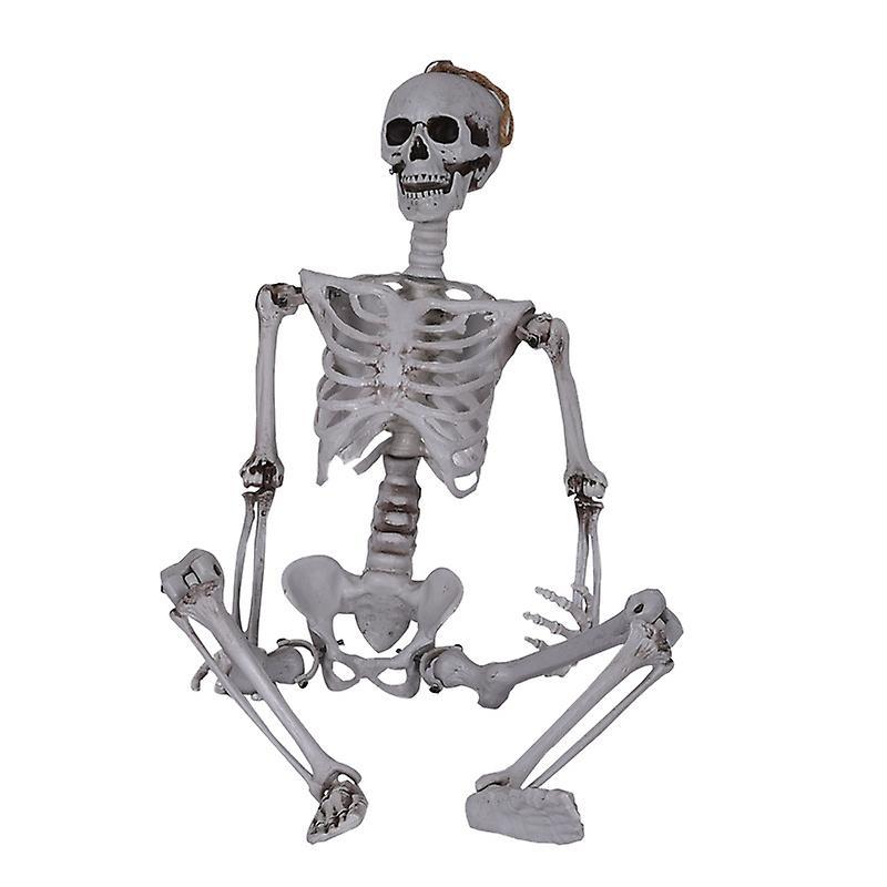 Longzhen Halloween Skeleton, Realistic Life Size Skeleton Full Body Posable Joints Human Skeleton Model, Halloween Props Spooky Party Decoration 90 cm