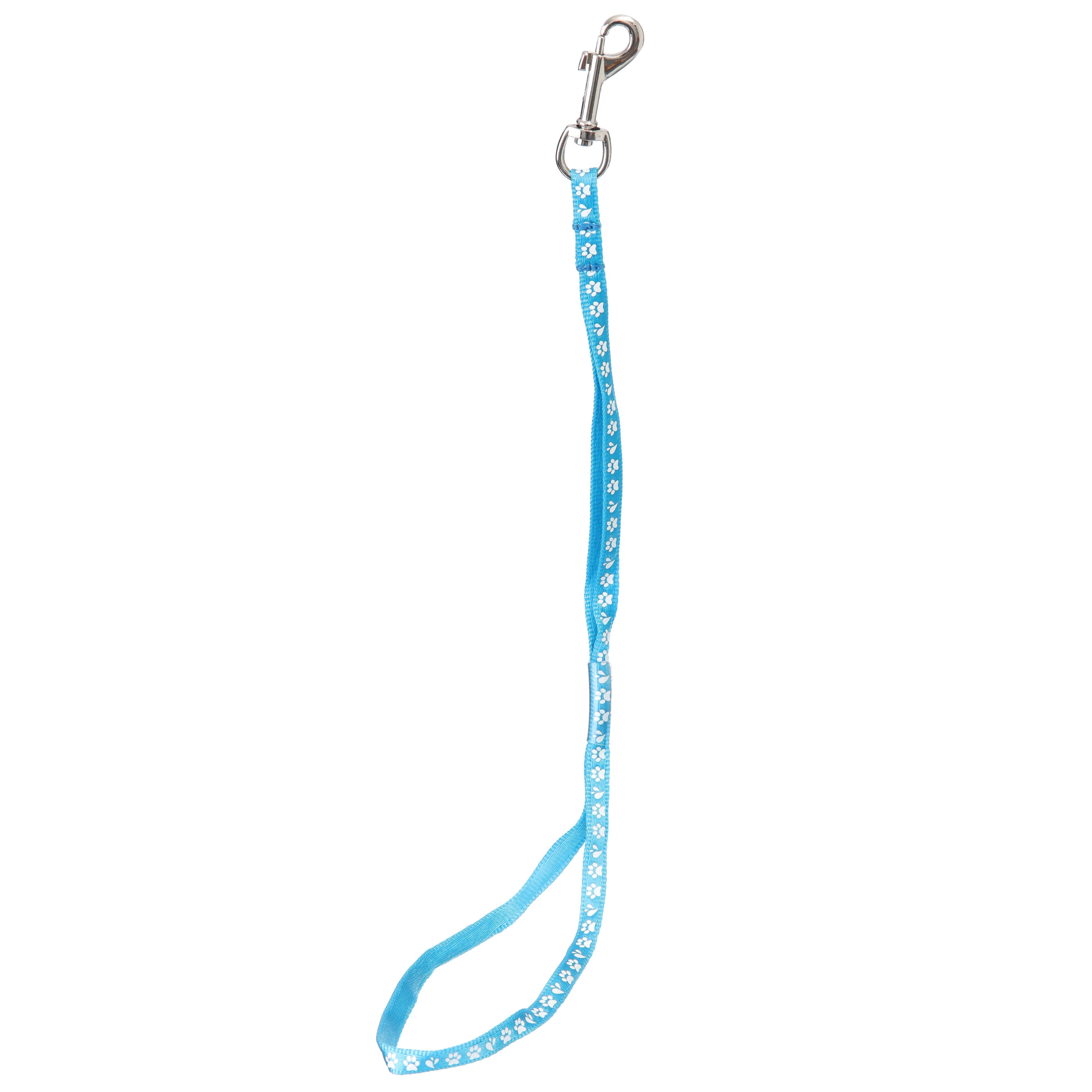 Groom Professional Arno Basic Dog Grooming Loop Leash Restraint 45cm Blau